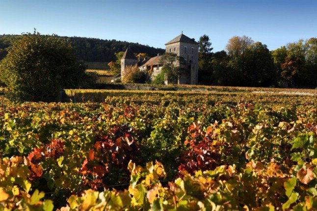 Pourquoi les vignobles français de Bourgogne sont plus vulnérables aux conditions climatiques extrêmes