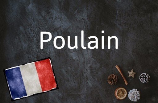 Le mot français du jour : Poulain