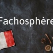 Mot français du jour : Fachosphère