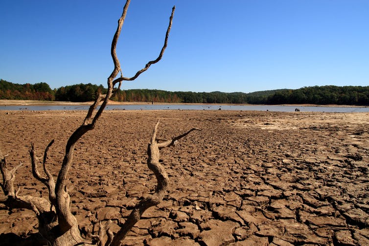 Terre frappée par la sécheresse