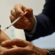 La France approuve la thérapie par anticorps pour les cas à haut risque de Covid