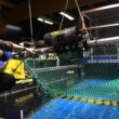 Le “jeu des chaluts” : des filets de pêche intelligents pourraient sauver des millions de créatures marines