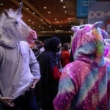 Quelles sont les 26 « licornes » françaises saluées par le gouvernement ?