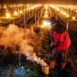Les viticulteurs français allument des bougies pour sauver leurs raisins du gel de printemps.