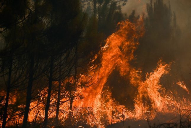 Pompiers français sur le site d'un incendie de forêt : Nous avons été confrontés à un mur de flammes de 50m de haut.