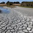 EN IMAGES : La sécheresse française s’intensifie, la Loire s’assèche