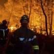 France : Les feux de forêt près de Bordeaux ne montrent aucun signe de ralentissement