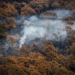 Les autorités du Sud-Ouest de la France interdisent les activités forestières par crainte des feux de forêt