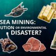 L’exploitation minière en haute mer : catalyseur de technologies vertes ou catastrophe environnementale ?