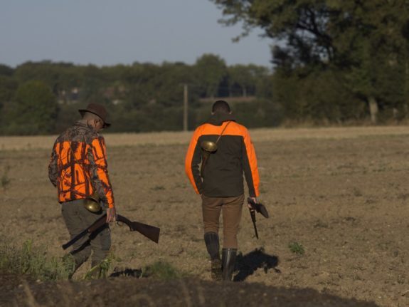 Tout ce que vous devez savoir sur la saison de chasse en France
