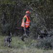 La chasse : comment la France veut rendre la chasse plus sûre ?