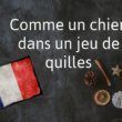 La phrase française du jour : Comme un chien dans un jeu de quilles