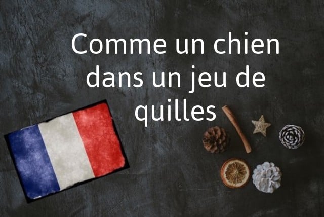 La phrase du jour en français : Comme un chien dans un jeu de quilles