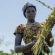 La première ‘COP alimentaire’ : pourquoi l’agriculture est enfin sur la table du sommet de l’ONU sur le climat