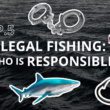 Podcast Ocean Calls : Dans le monde obscur de la pêche illégale