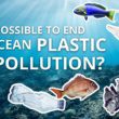 Podcast Ocean Calls : Est-il possible de mettre fin à la pollution plastique des océans ?