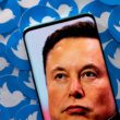 Comment la désinformation sur le climat se répand après la prise de contrôle de Twitter par Elon Musk