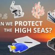 Podcast Ocean Calls : Pouvons-nous nous mettre d’accord sur la manière de gouverner la haute mer ?