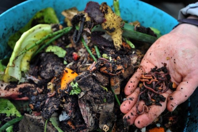 Vers gratuits : comment commencer le compostage en France