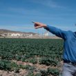 Les agriculteurs de Murcie craignent pour l’avenir alors que l’Espagne coupe l’approvisionnement en eau du Tage