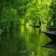 « La Venise verte de France » : pourquoi le Marais Poitevin est le secret de voyage lent le mieux gardé du pays