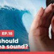 Podcast : « Un monde acoustique » – experts marins sur les bruits et les sons dans nos océans